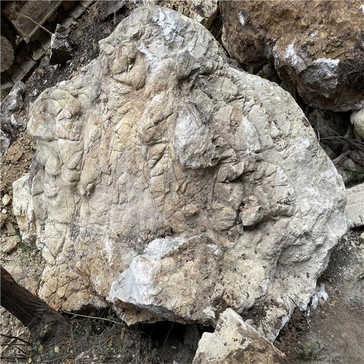 点金龟纹石直销厂家 景观石批发 龟纹石基地自采 假山龟纹石生产厂家