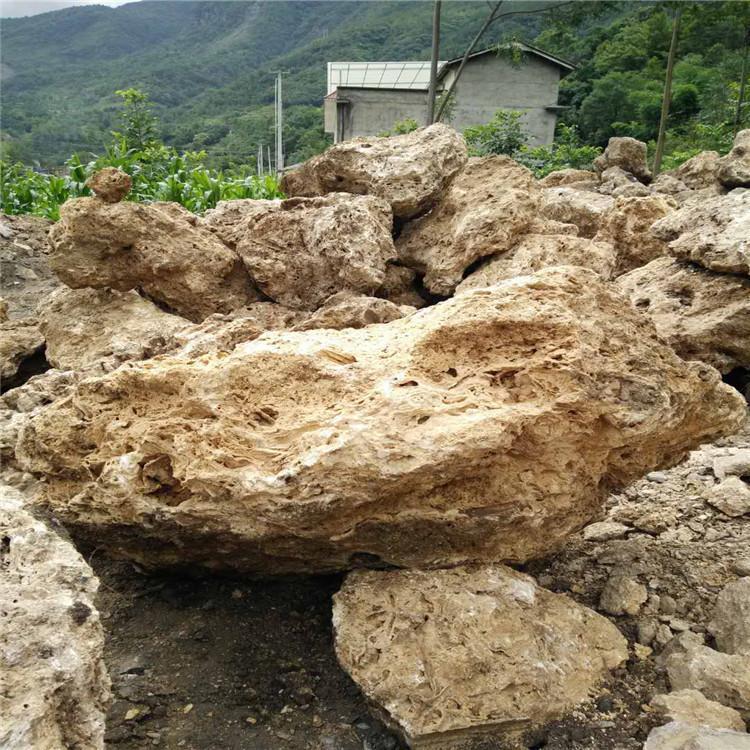 点金园林假山石 毕节吸水石厂家直销 上水石石材 优质假山石