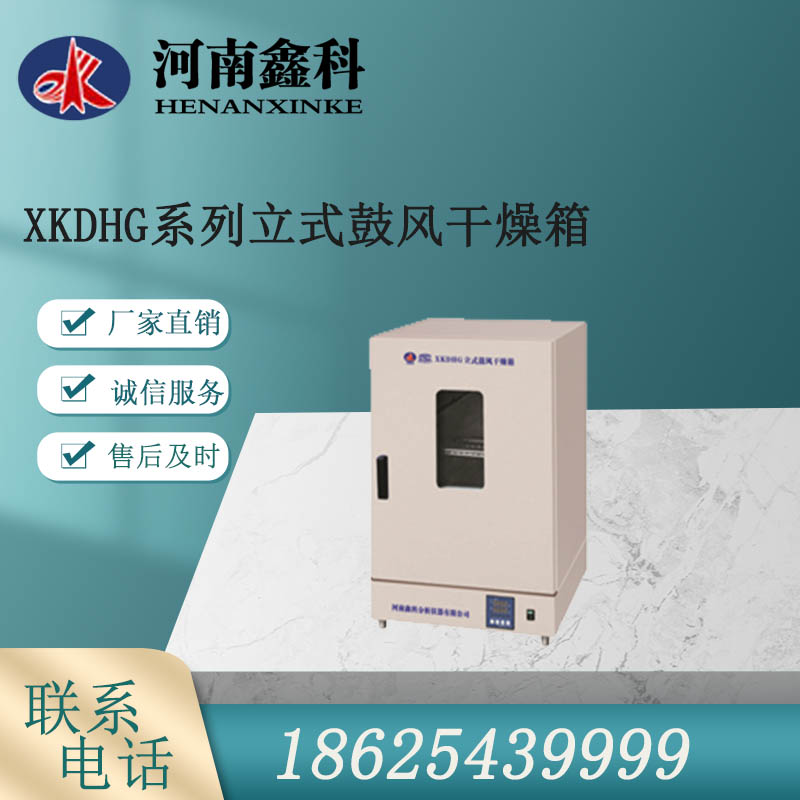  立式鼓风干燥箱  电热恒温鼓风干燥箱  恒温干燥箱   质量务实