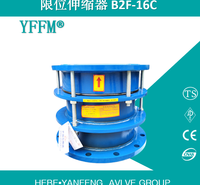 耐氧化水利用限位伸缩器B2F-16C-DN300 WCB材质 可定制长度