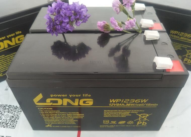 LONG广隆蓄电池WP1236W 12V36W 电梯照明电源 UPS电源 通信蓄电池