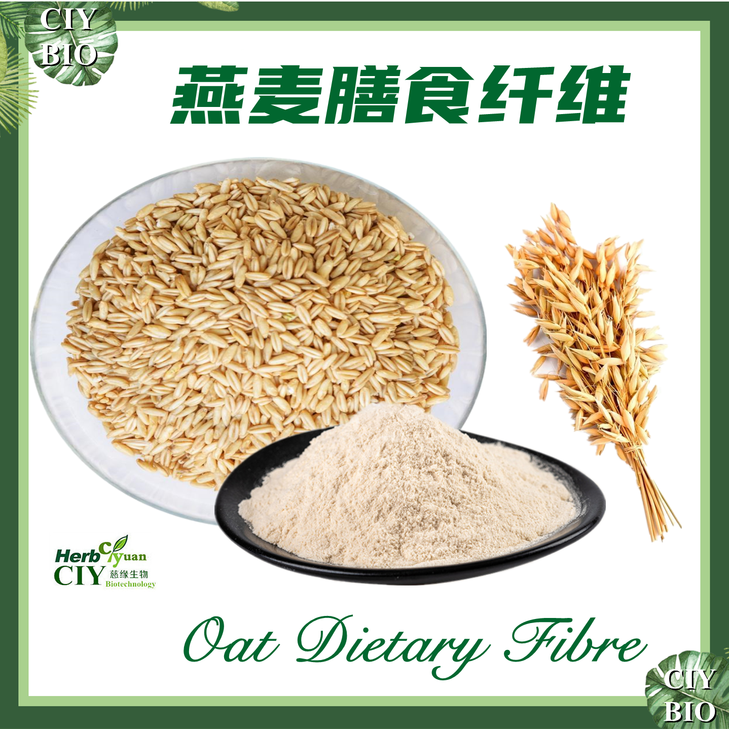 燕麦纤维 燕麦提取物 燕麦膳食纤维【SC厂家】 燕麦纤维素