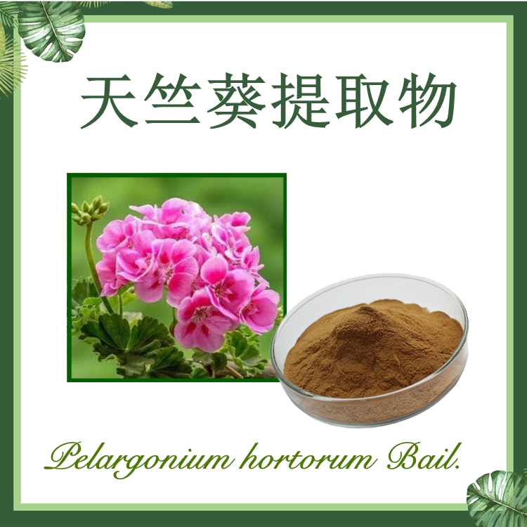 天竺葵提取物 10:1 石蜡红提取物 【SC厂家】天竺葵粉