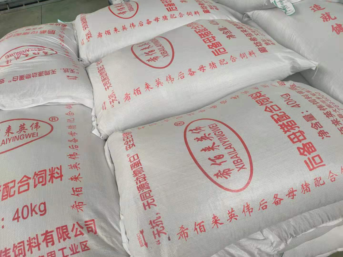 后备母猪配合饲料  母猪用饲料