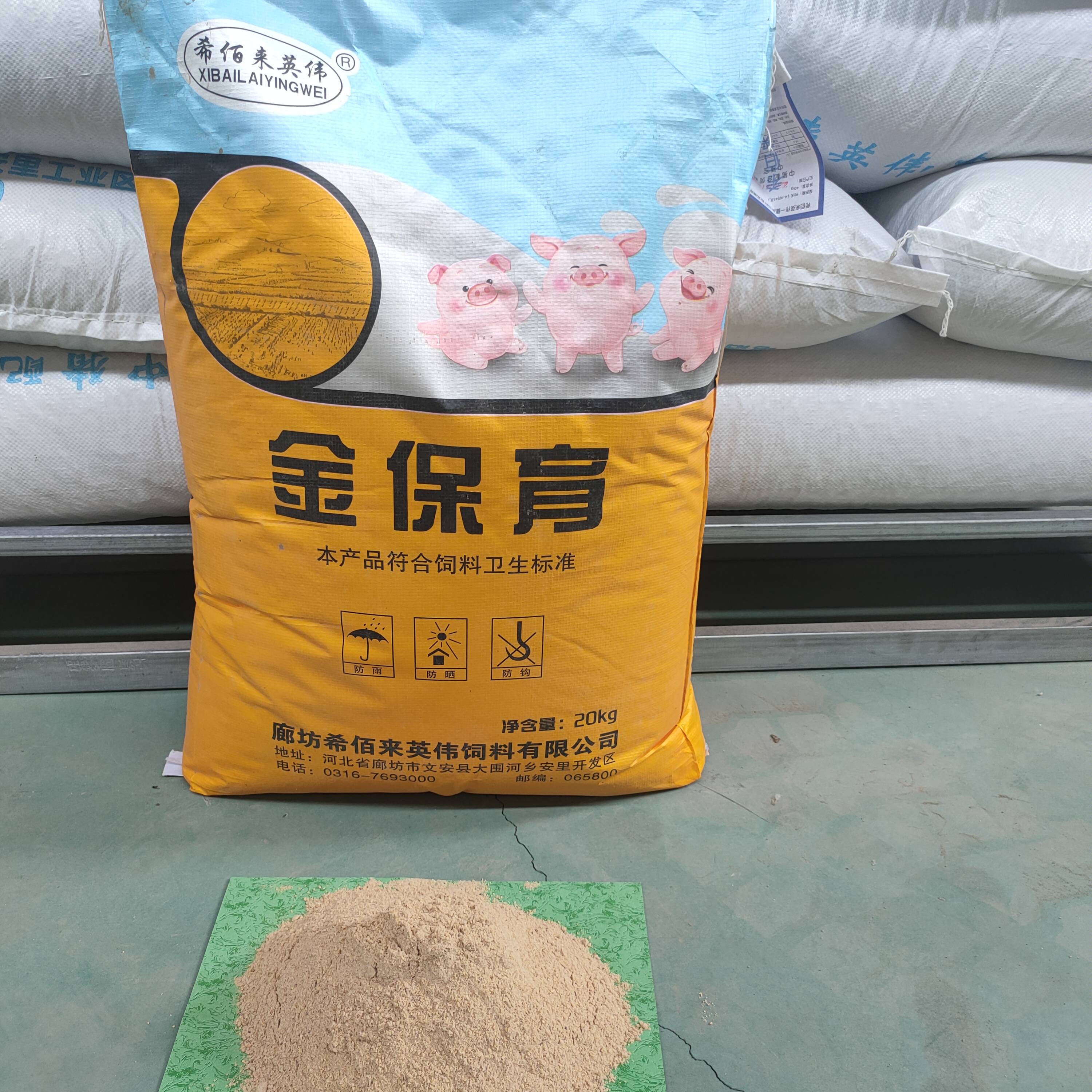 常年销售养殖用猪饲料 金保育猪饲料 猪饲料营养丰富 价格优惠