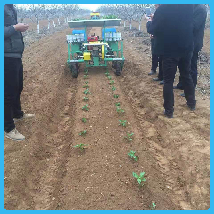 发货快捷 药材移植机 青州移栽机 自走式移栽机销售