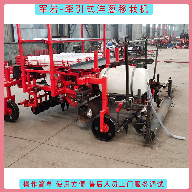 洋葱移植机 出售洋葱栽苗机 结构简单