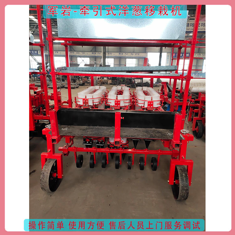 洋葱移植机定制 山东移苗机 厂家报价 洋葱移植机