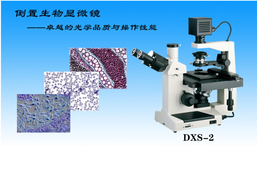 显微镜DXS-2倒置生物显微镜