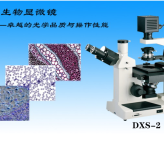 显微镜DXS-2倒置生物显微镜