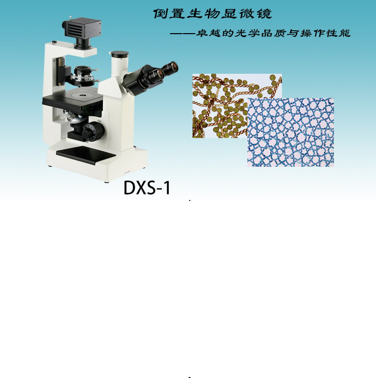 显微镜DXS-1倒置显微镜生物显微镜