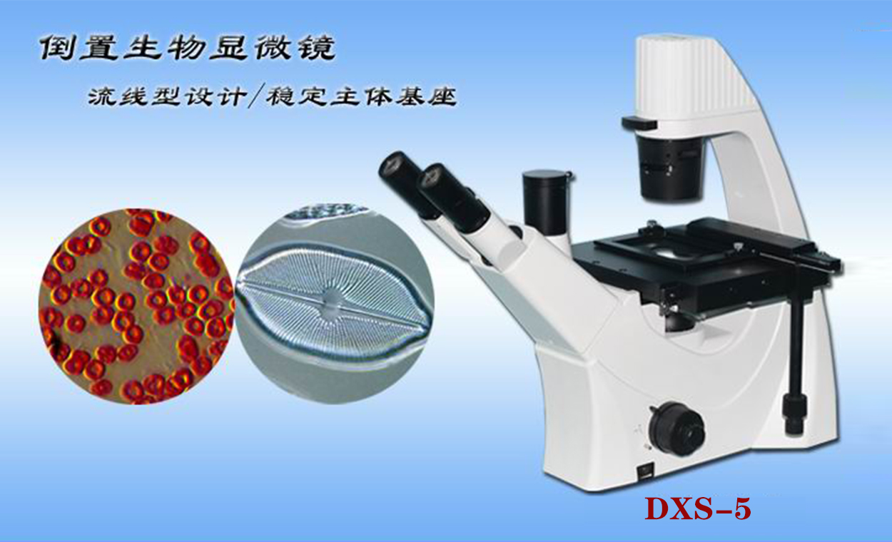 显微镜 DXS-5倒置生物显微镜