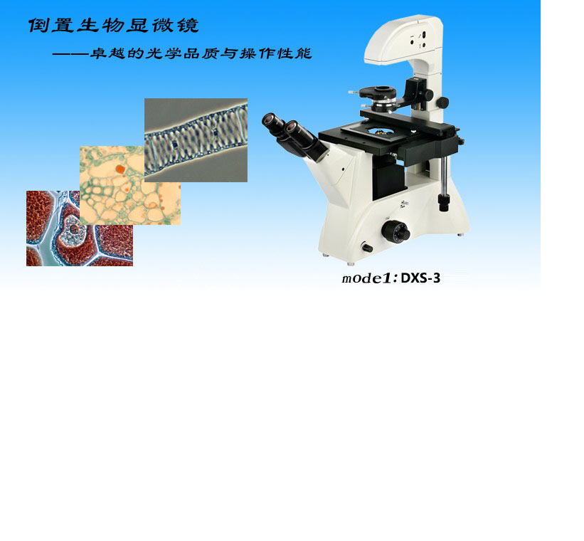 显微镜DXS-3倒置生物显微镜