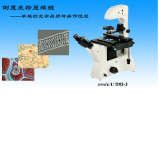 显微镜DXS-3倒置生物显微镜