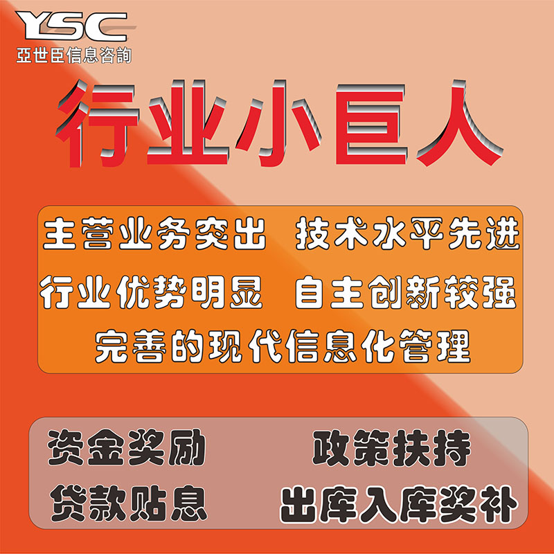 专精特新小巨人ISO管理体系认证高企认定专利申请可研报告项目申报商业计划书