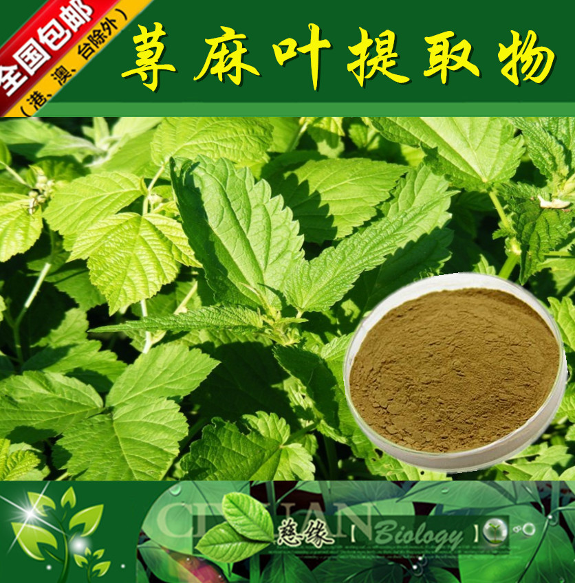 荨麻叶提取物 10:1 荨麻提取物 【SC厂家】蝎子草提取物