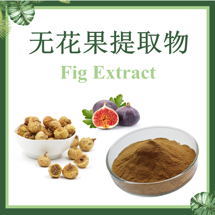 无花果提取物 10:1 奶香果提取物 【SC厂家】明目果提取物 