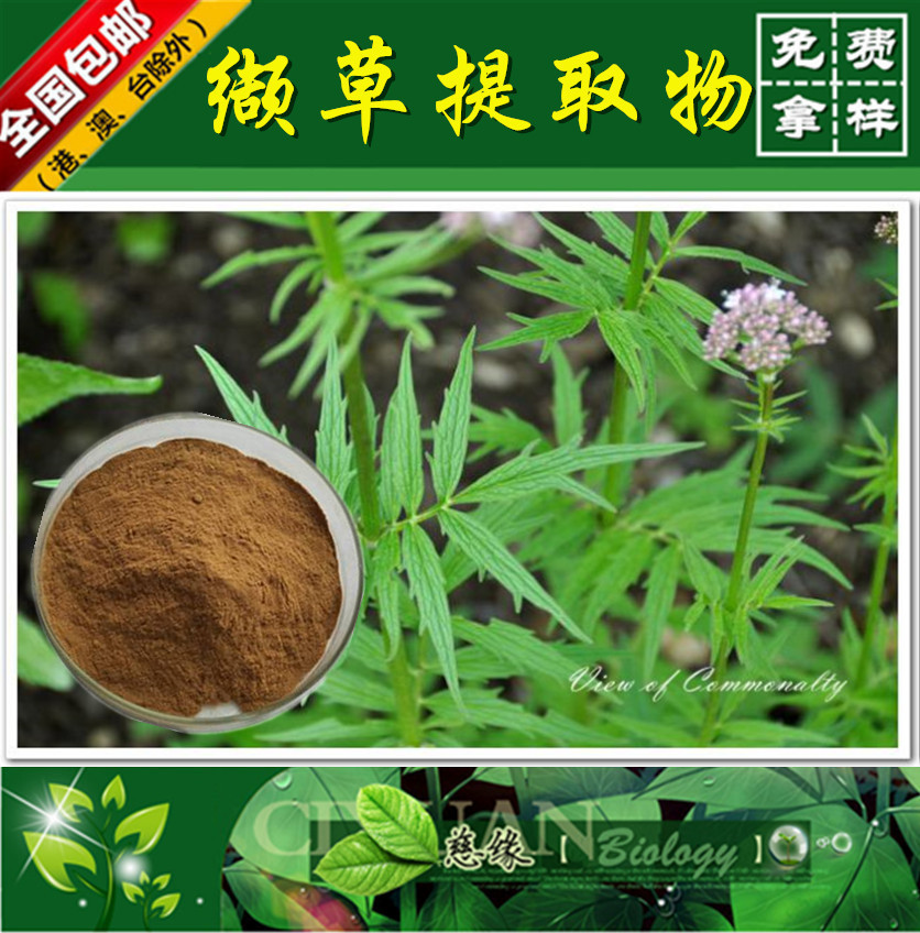 缬草提取物 10:1 欧缬草提取物 【SC厂家】 缬草粉