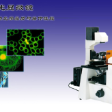 显微镜DXY-1倒置荧光显微镜生物显微镜