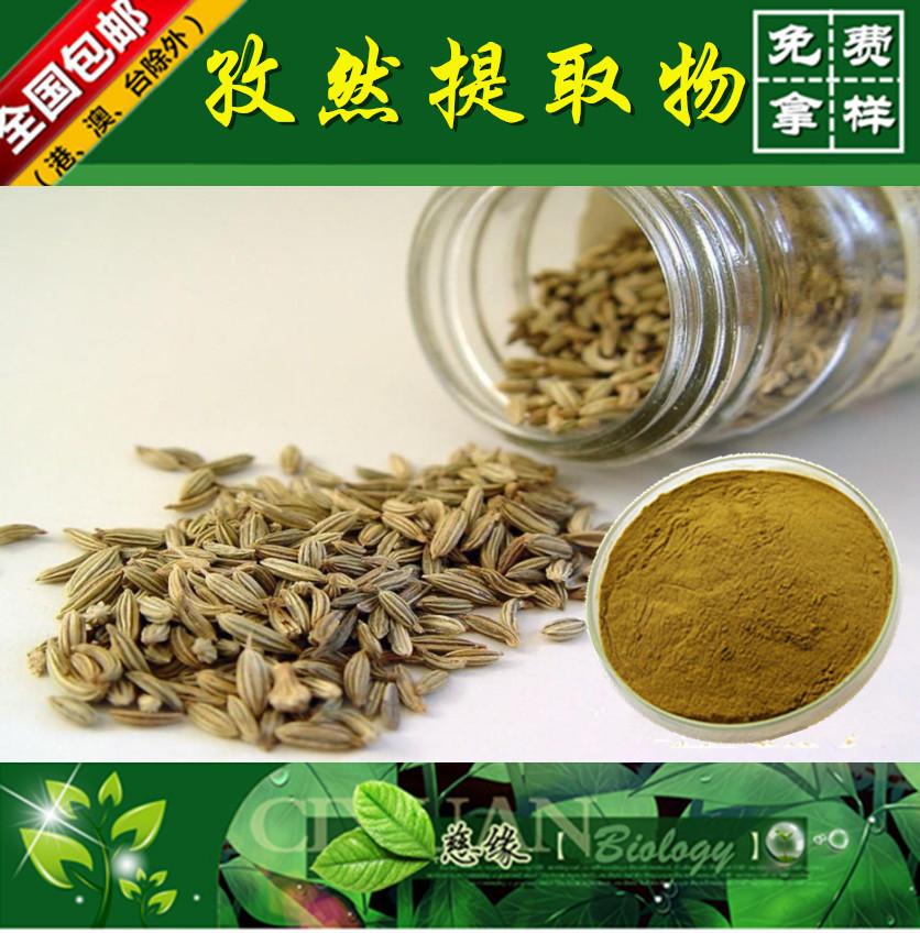 孜然提取物 10:1 孜然芹提取物【SC厂家】孜然粉
