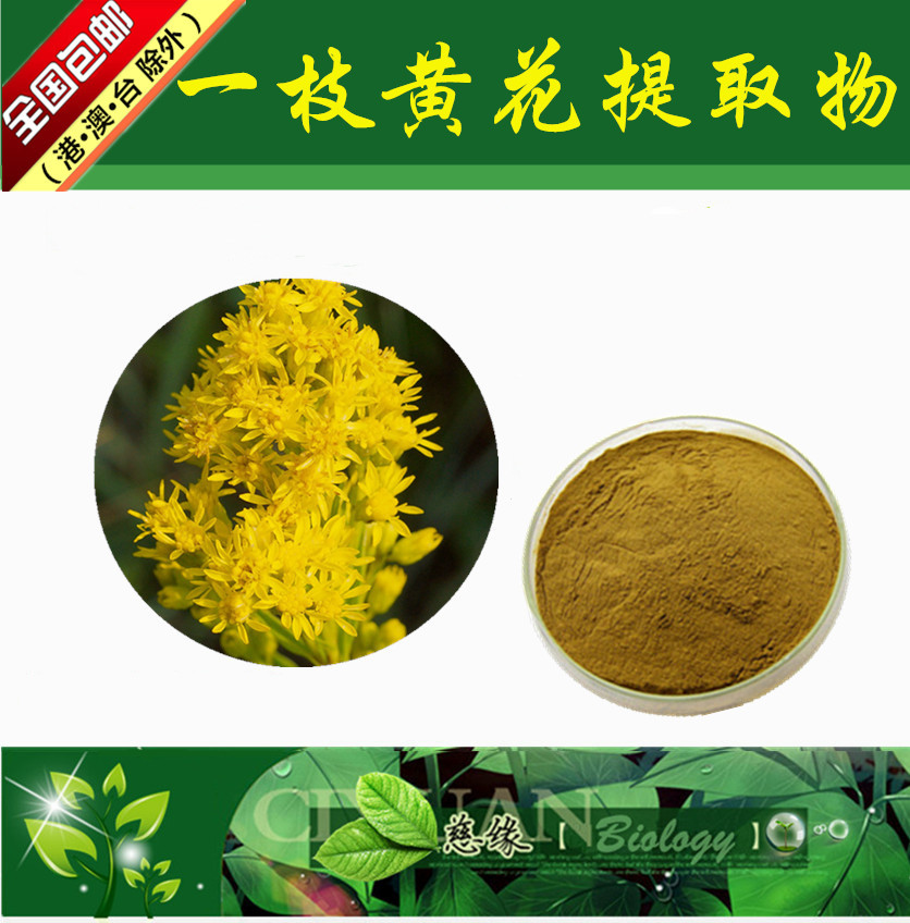 一枝黄花提取物10:1 野黄菊提取物【SC厂家】一枝黄花粉