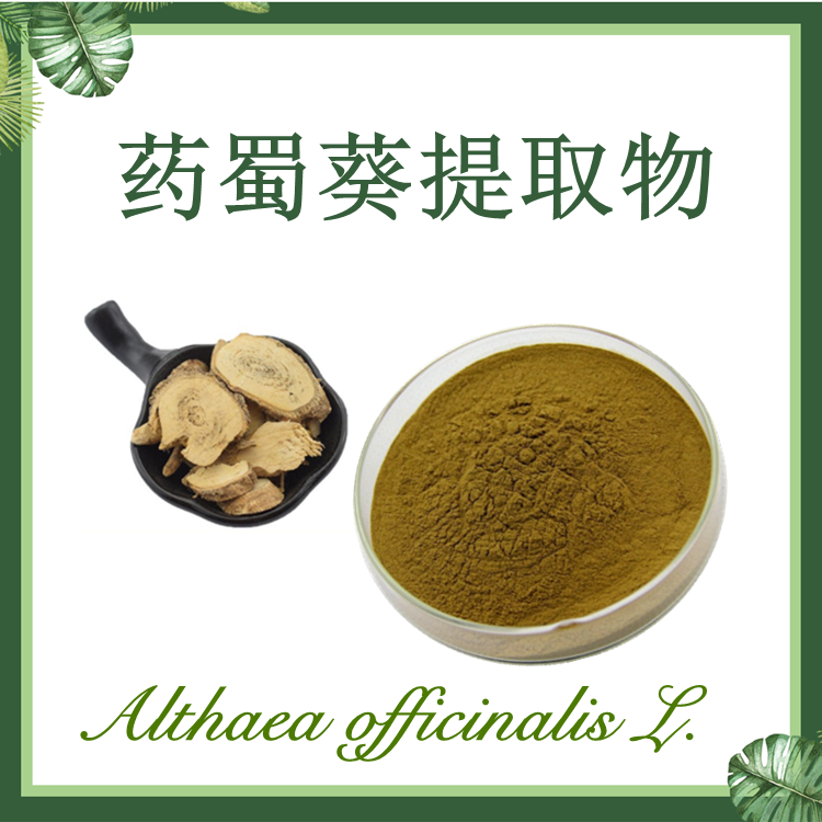 药蜀葵提取物 蜀葵根提取物 10:1【SC厂家】药蜀葵粉