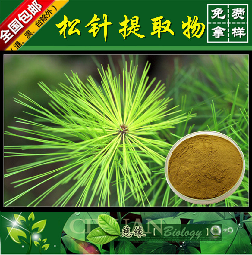 松针提取物 10:1 针叶提取物 【SC厂家】松针浓缩粉