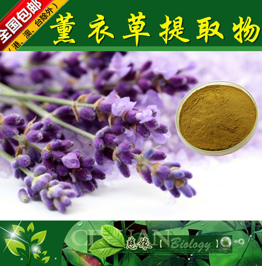 薰衣草提取物 10:1 香草提取物【SC厂家】薰衣草粉