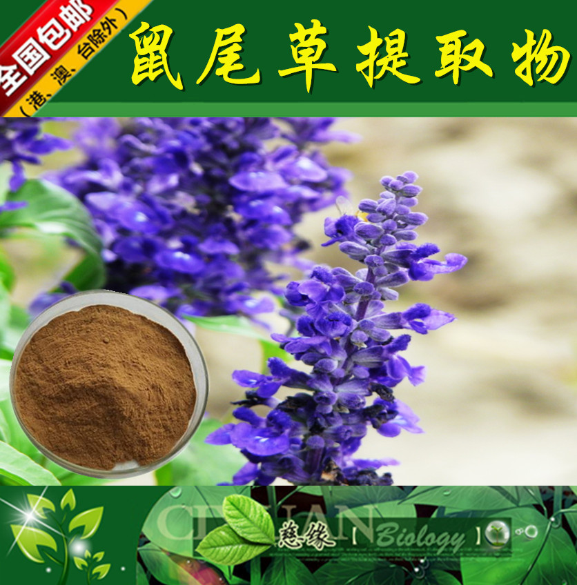 鼠尾草提取物 10:1 紫花丹提取物 【SC厂家】鼠尾草浸膏