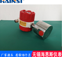 海恩斯HCF防爆椭圆齿轮流量计 高温型椭圆齿轮计量表