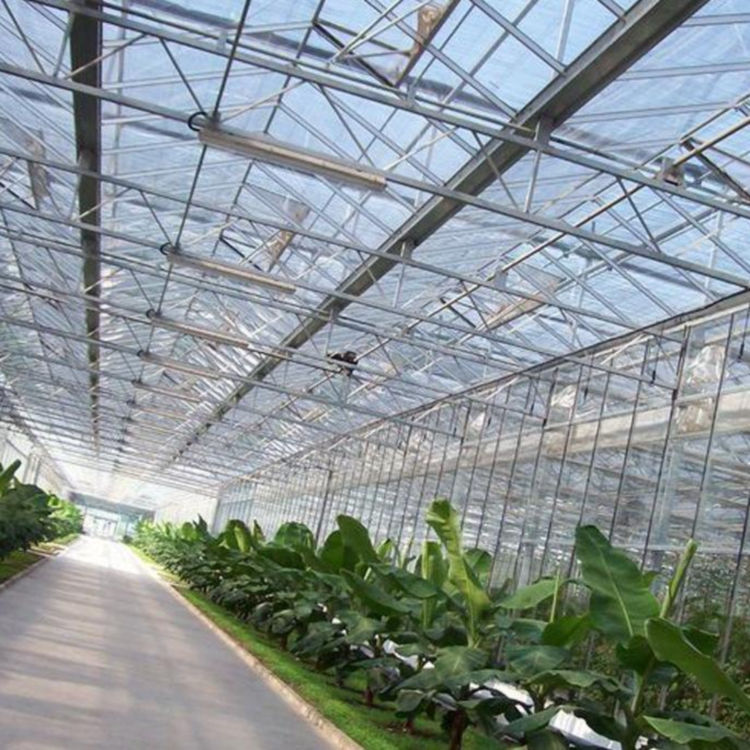 山东温室大棚承建商 异形玻璃温室安装 花卉玻璃温室