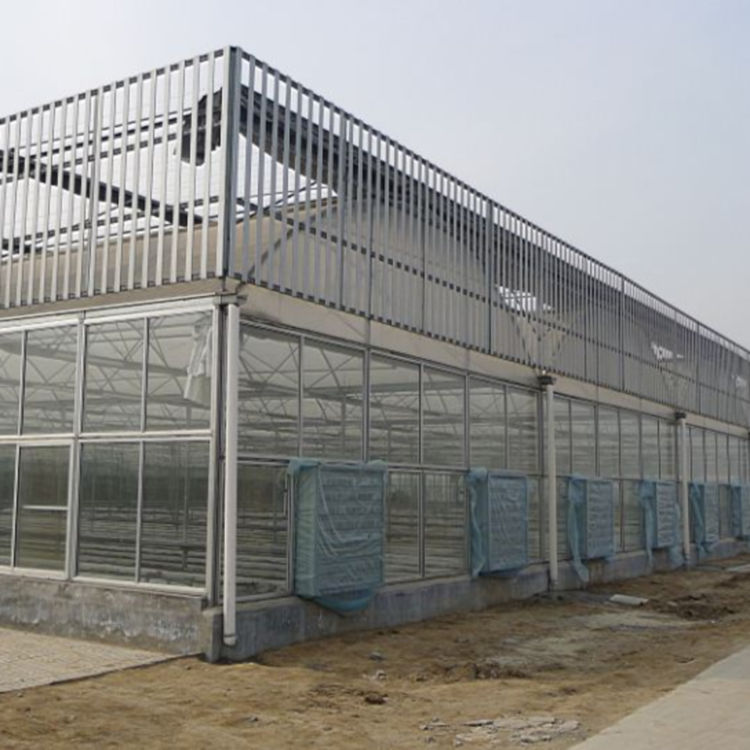 山东温室大棚承建商 立体玻璃温室承接 冬季保温玻璃温室