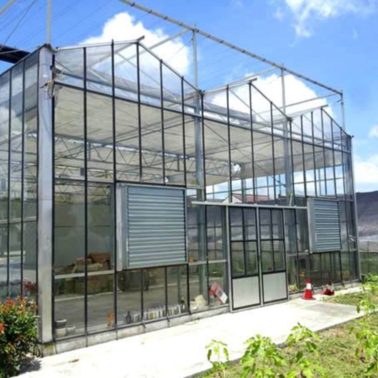 山东玻璃温室大棚建造 育苗连栋玻璃温室大棚 欢迎咨询