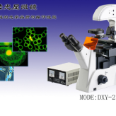 显微镜DXY-2倒置荧光显微镜生物显微镜