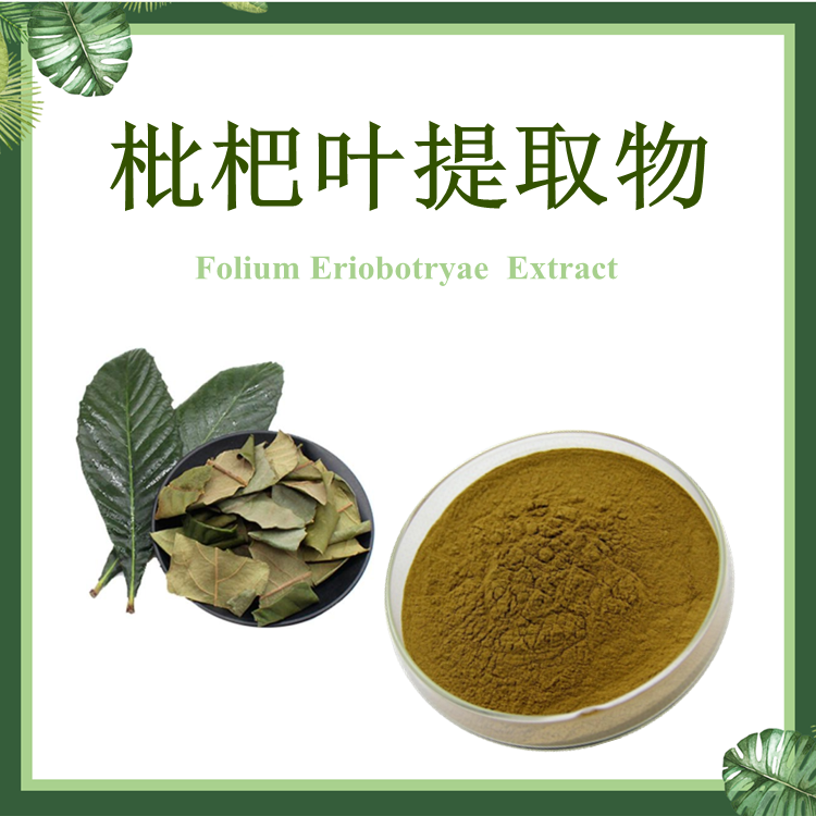 枇杷叶提物 10:1  芦桔叶提取物 【SC厂家】巴叶提取物