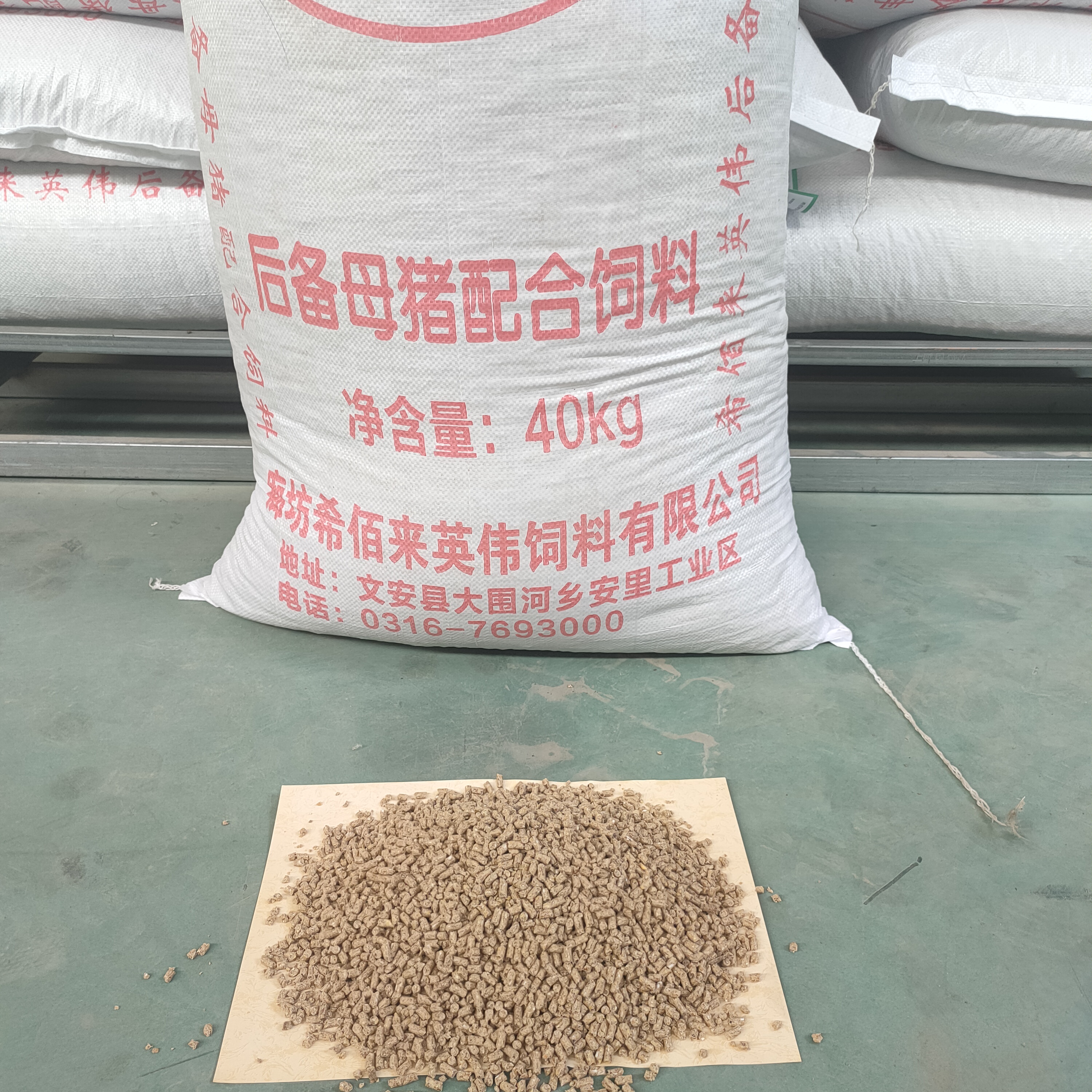 后备母猪配合饲料  母猪用饲料
