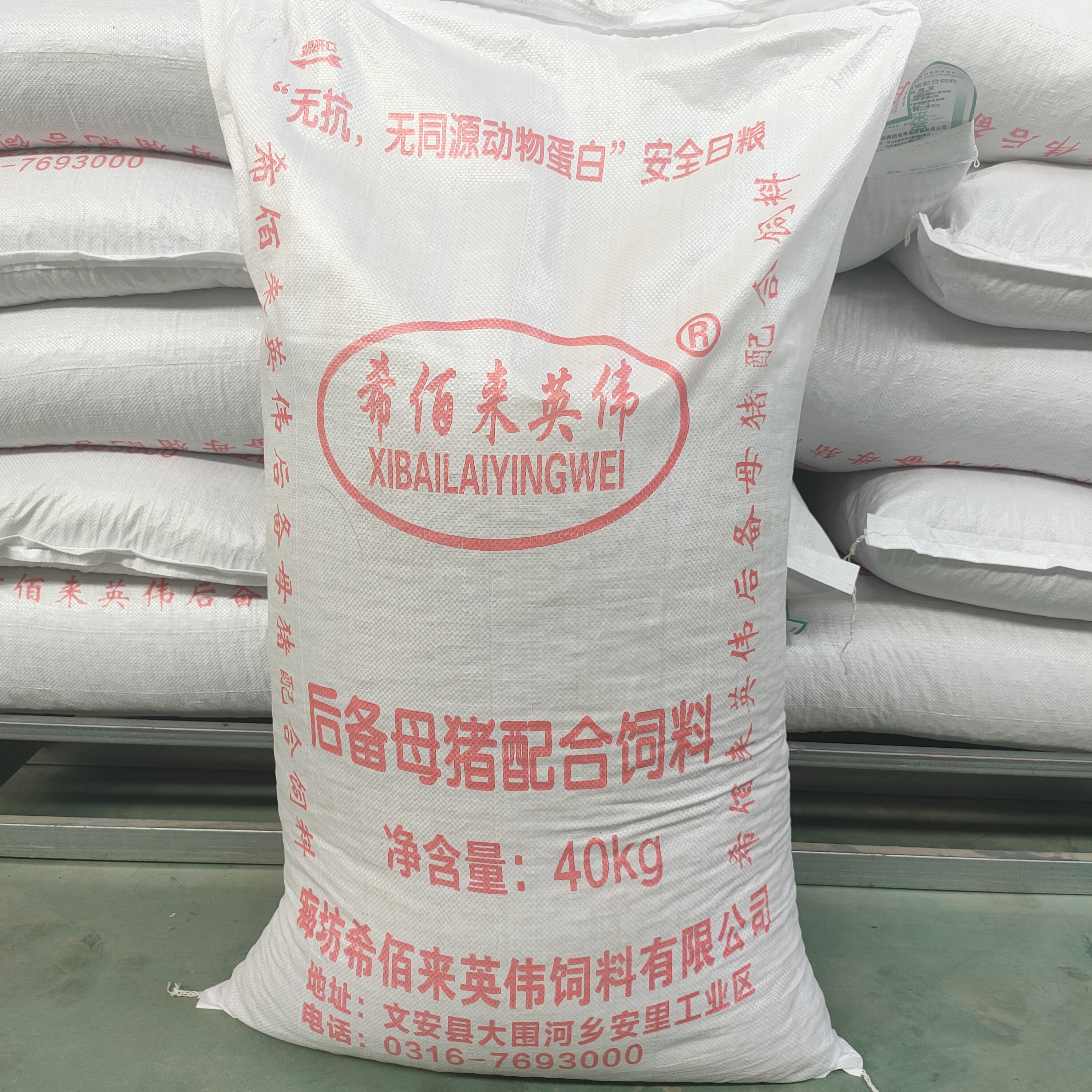 后备母猪配合饲料  母猪用饲料 厂价销售 猪用养殖饲料