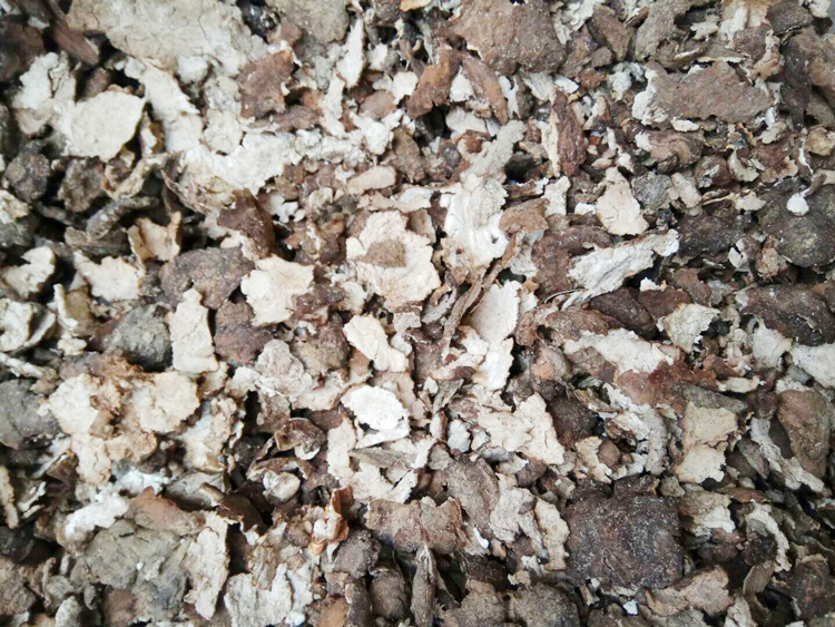 低价批发茯苓皮 亳州直发茯苓皮品质可靠 道地药材茯苓皮 茯苓皮药材供应 茯苓皮批发价格