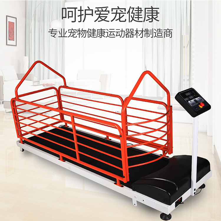   丽泽厂家直销LZ605大型犬跑步机金毛哈士奇德牧跑步机