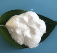 厂家直售焦亚硫酸钠 97工业级焦亚硫酸钠 电镀业用焦亚硫酸钠