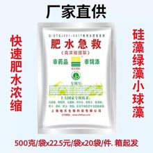 肥水急救 硅藻种肥 水硅肥料氨基酸肥水鱼肥虾蟹肥水养鱼虾