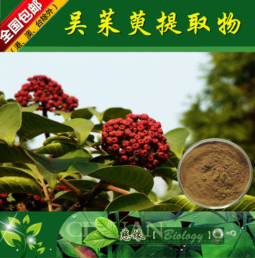吴茱萸提取物 10:1 吴萸提取物【SC厂家】吴茱萸浸膏