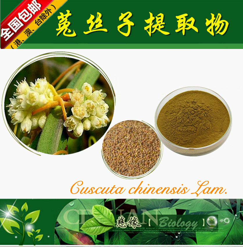 菟丝子提取物 10:1 吐丝子提取物【SC厂家】菟丝子粉