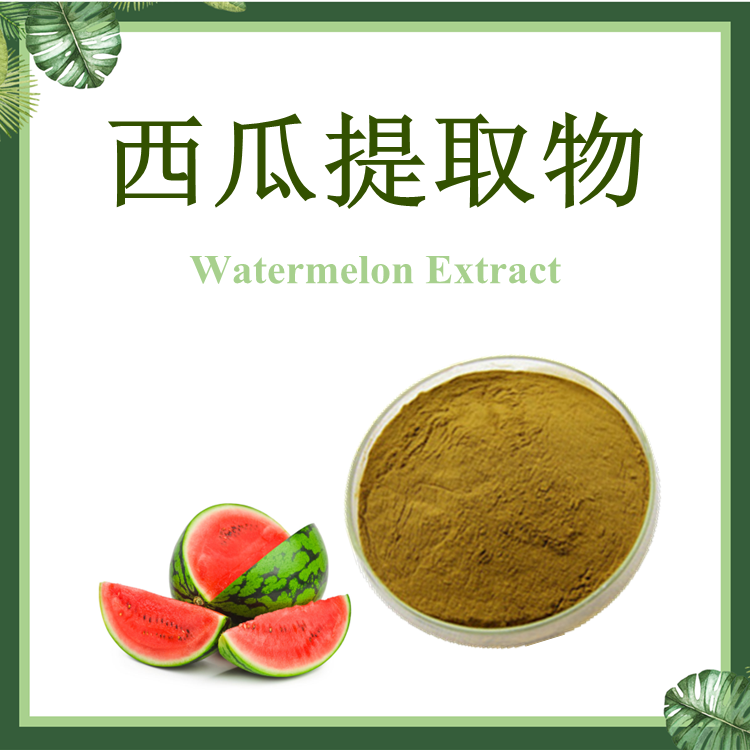 西瓜提取物 10:1 西瓜皮提取物【SC厂家】西瓜皮粉