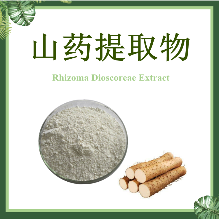 山药提取物 10:1 淮山药提取物【SC厂家】土薯提取物