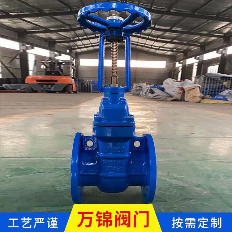明杆硬密封闸阀 定制加工 大口径防护闸阀 铸铁明杆闸阀 欢迎订购