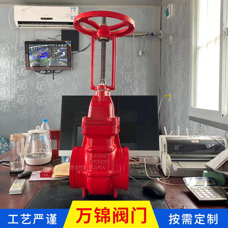  明杆铜芯防护闸阀 大口径匣阀 厂家定制 质量放心