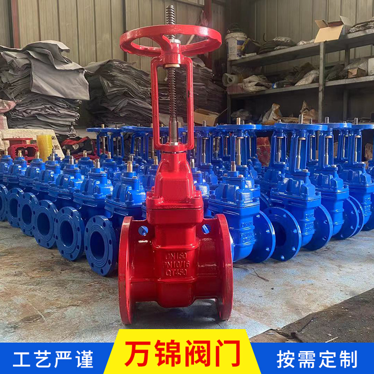 加工供应 大口径闸阀 球墨铸铁硬密封闸阀 明杆铜芯防护闸阀 贴心服务