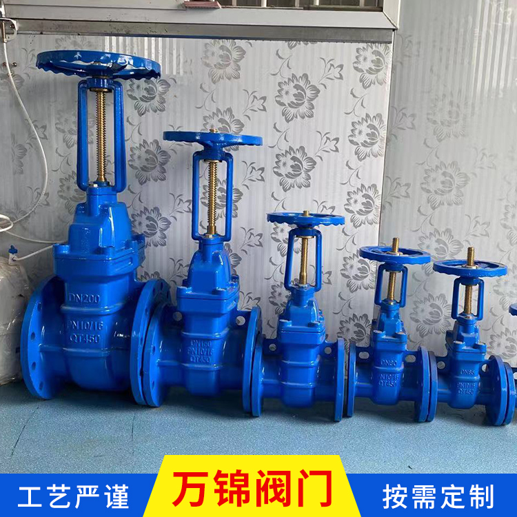 长期供应 法兰防护闸阀 球墨铸铁硬密封闸阀 规格多样 明杆硬密封闸阀