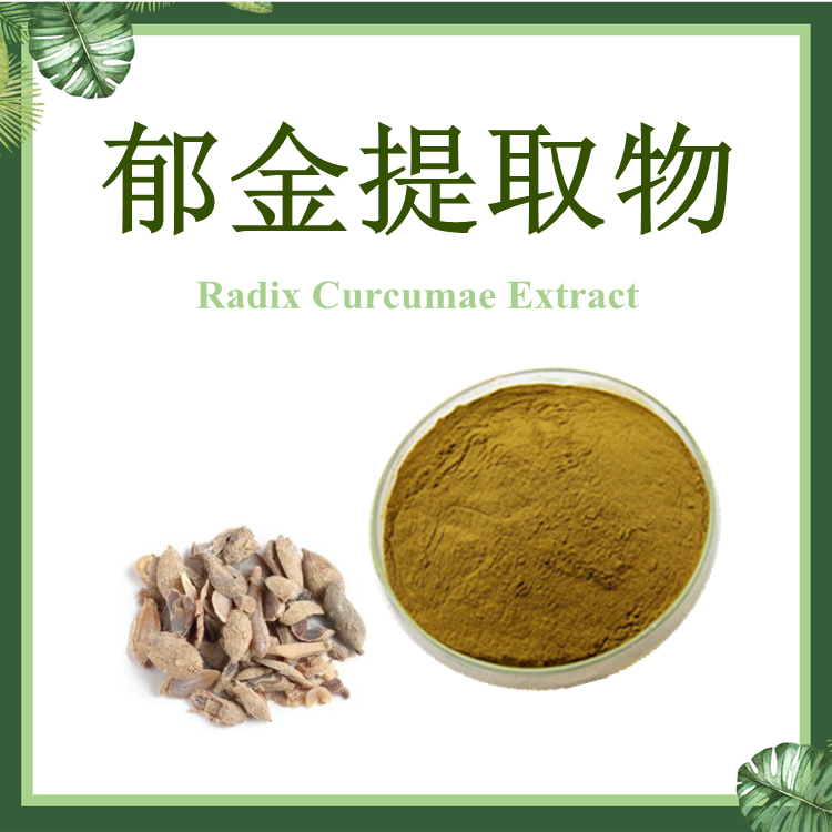 郁金提取物 10:1 玉金提取物【SC厂家】郁金浓缩粉